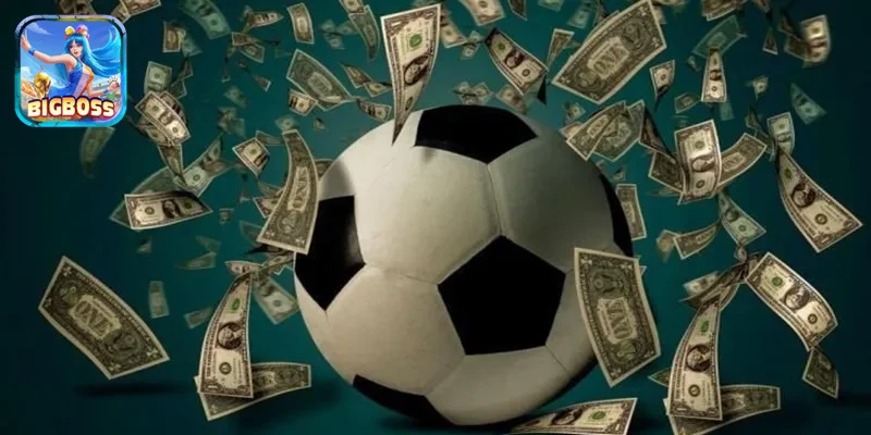 Ưu đãi hấp dẫn dành cho người chơi thể thao.